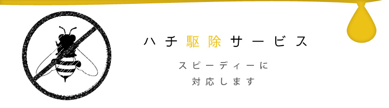 ハチ駆除サービス